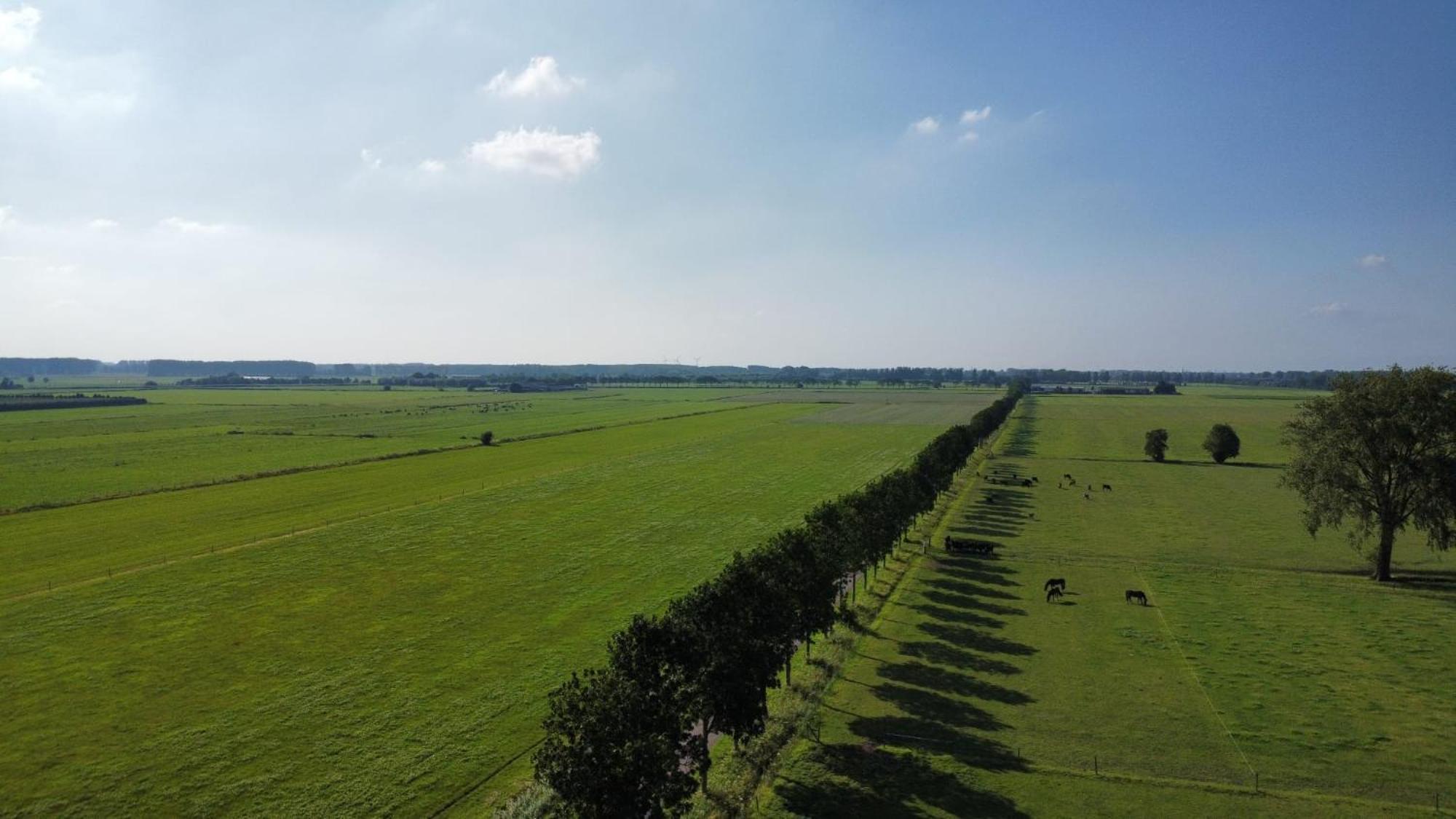 Tricht Landelijke Huis In De Betuwe מראה חיצוני תמונה